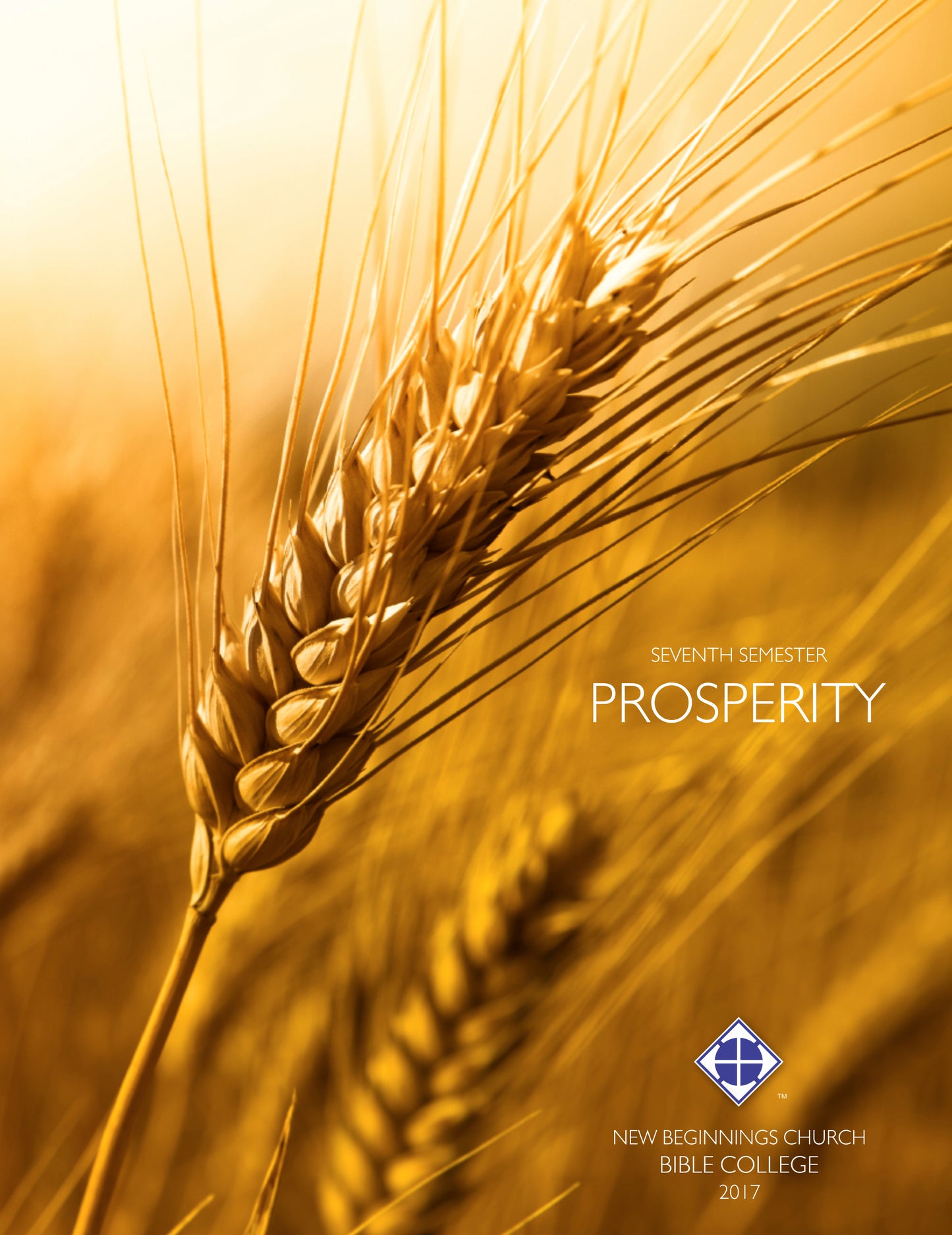 Semester 7 - Prosperity